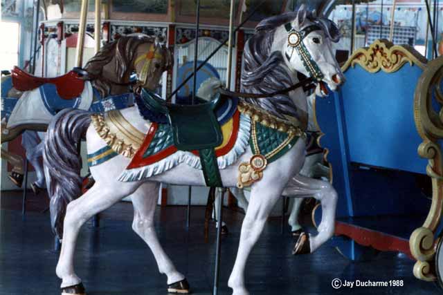Mt. Park ehite horse, 1988