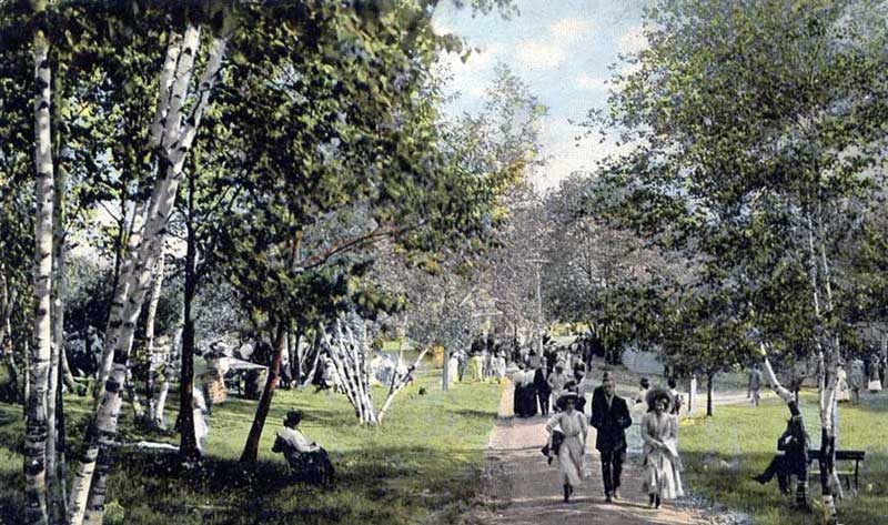 Deer Park Road