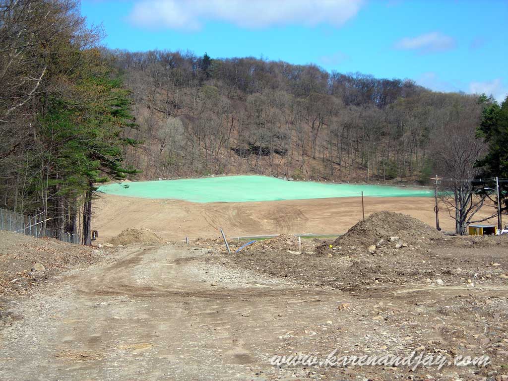 Ball Field, 2010