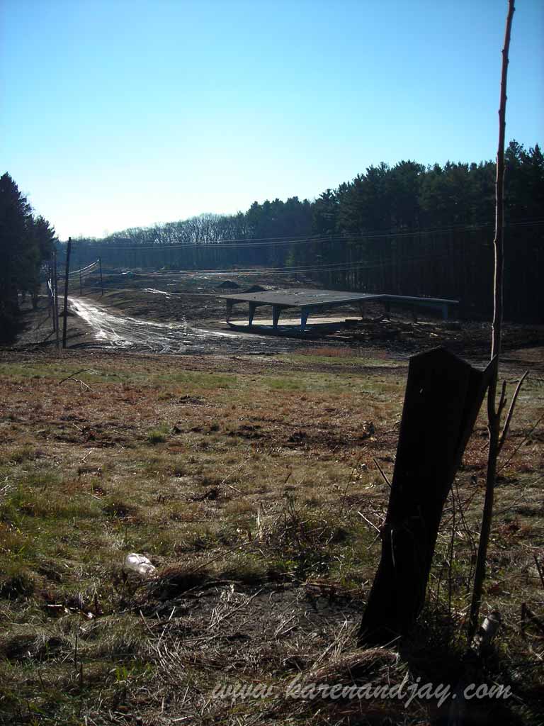 The Flagpole in the Ball Field, 2008
