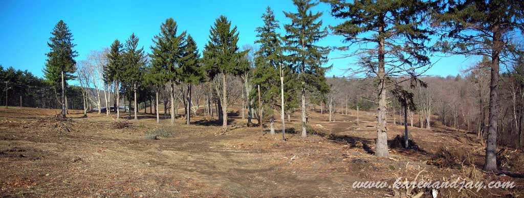 Picnic Grove from Parking Lot, 2008