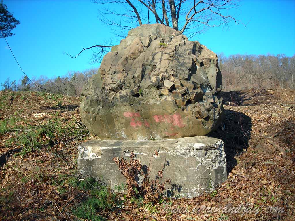 The Rock, 2008