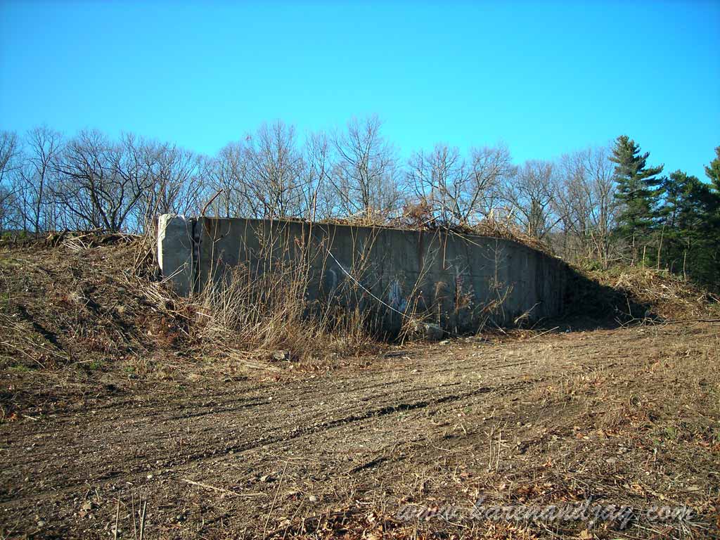 Sky Ride Foundation, 2008