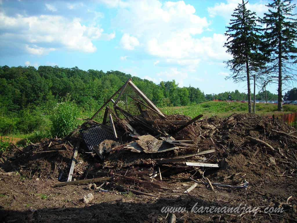 Animal Land Remains, 2009
