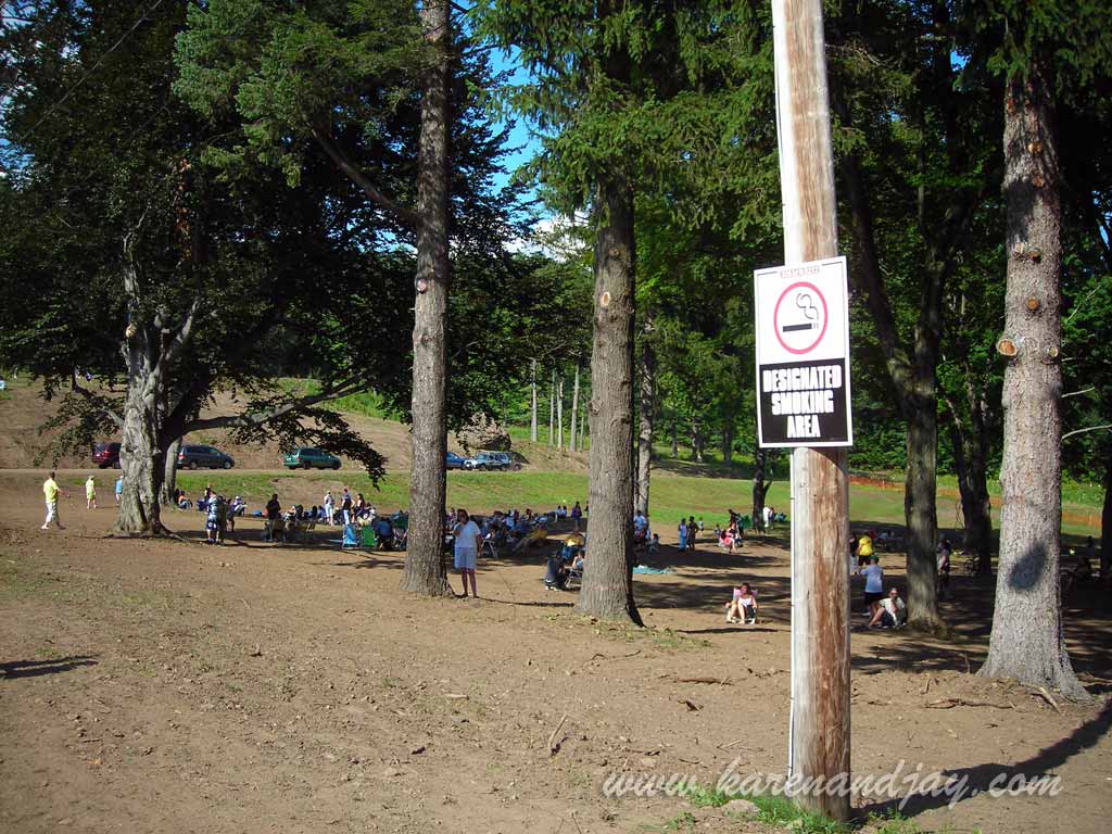 Picnic Grove, 2009