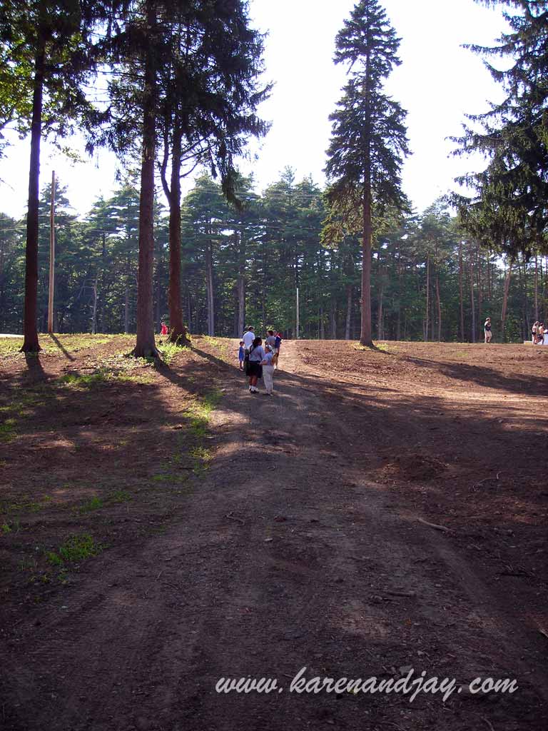 Grove Walk, 2009